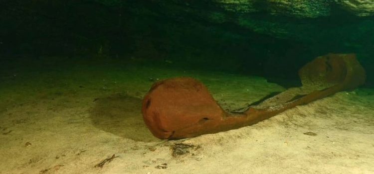 Hallan canoa al interior de un cenote en Yucatán; se cree que fue usada para ritual