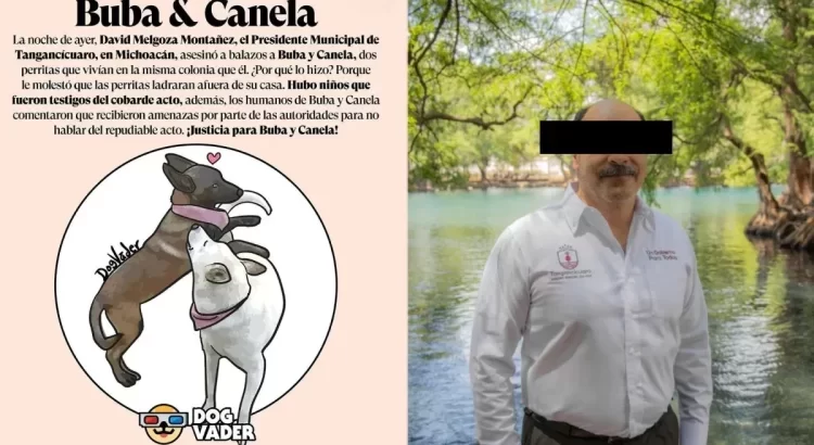Acusan al alcalde de Tangancícuaro de matar a balazos a dos perritas