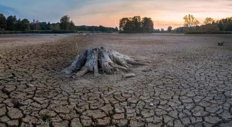 Se extiende la sequía a casi el 80% del país