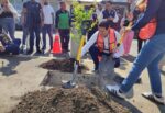 Presenta ayuntamiento moreliano programa “Bienvenido Arbolito”