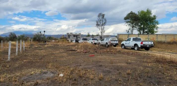 Localizan a hombre ejecutado en predio deshabitado, en Morelia