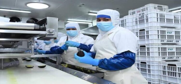 Michoacán, entre los 10 estados con más generación de empleo Michoacán, entre los 10 estados con más generación de empleo
