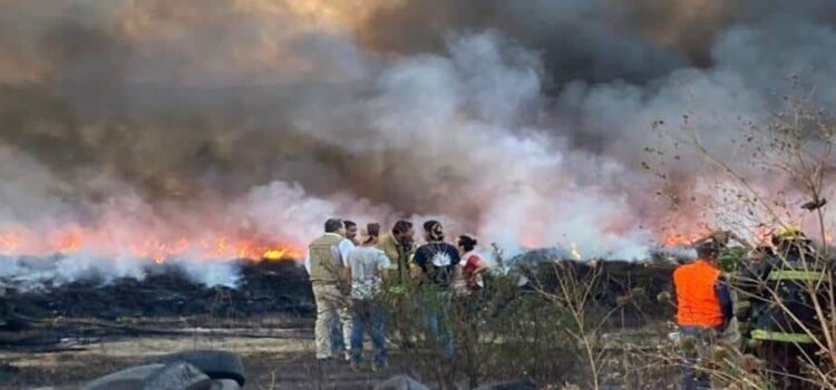 Agricultura de Michoacán en riesgo por incendios forestales