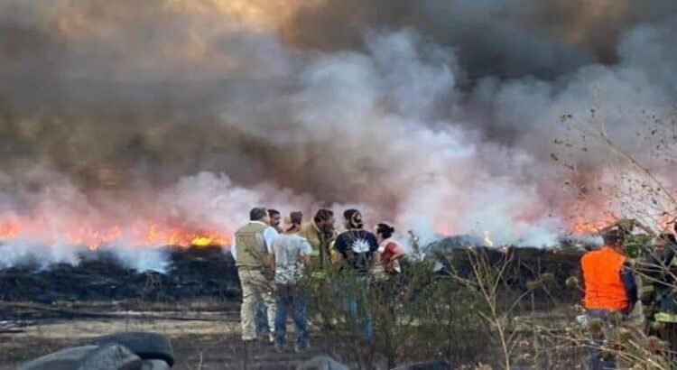 Agricultura de Michoacán en riesgo por incendios forestales