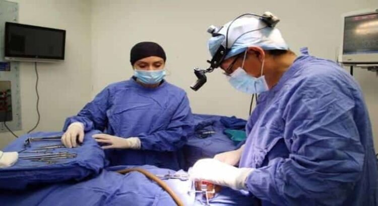 Realizan en Michoacán más de mil trasplantes de órganos
