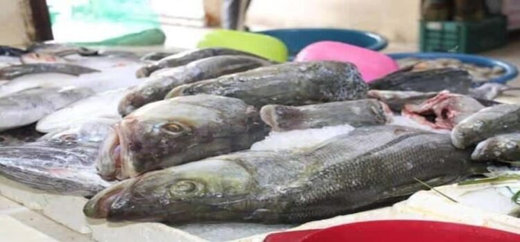 Advierten sobre riesgos al consumir pescados y mariscos
