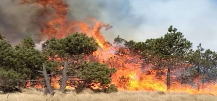 En Michoacán decenas de hectáreas con incendios activos