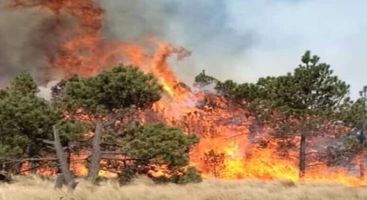 En Michoacán decenas de hectáreas con incendios activos