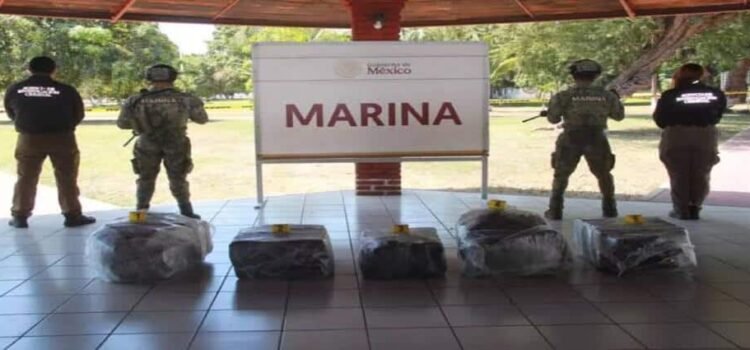 Aseguran 300 kilos de cocaína en el puerto de Lázaro Cárdenas, Michoacán Aseguran 300 kilos de cocaína en el puerto de Lázaro Cárdenas, Michoacán