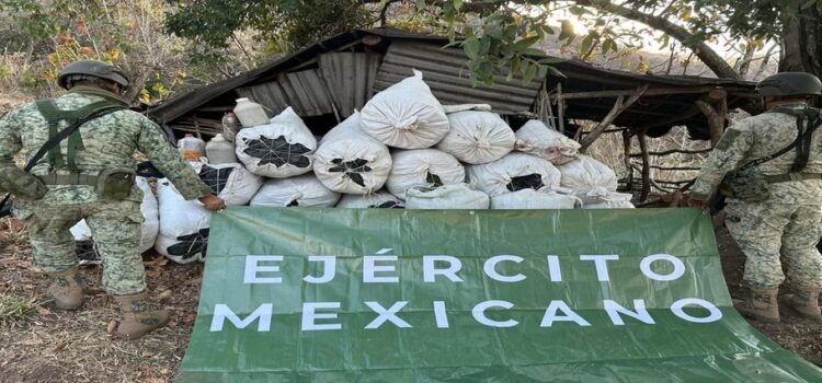 Asesinan a cinco presuntos criminales y aseguran más de 100 artefactos explosivos en Michoacán Asesinan a cinco presuntos criminales y aseguran más de 100 artefactos explosivos en Michoacán