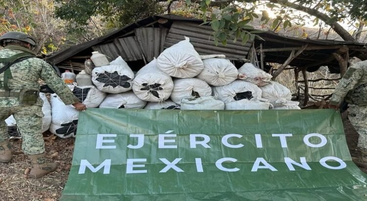 Asesinan a cinco presuntos criminales y aseguran más de 100 artefactos explosivos en Michoacán