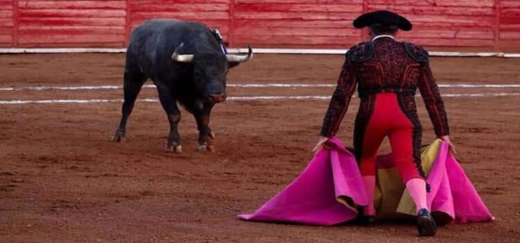 Veto a corridas de toros en Michoacán ya fue aprobado, pero no ha entrado en vigor