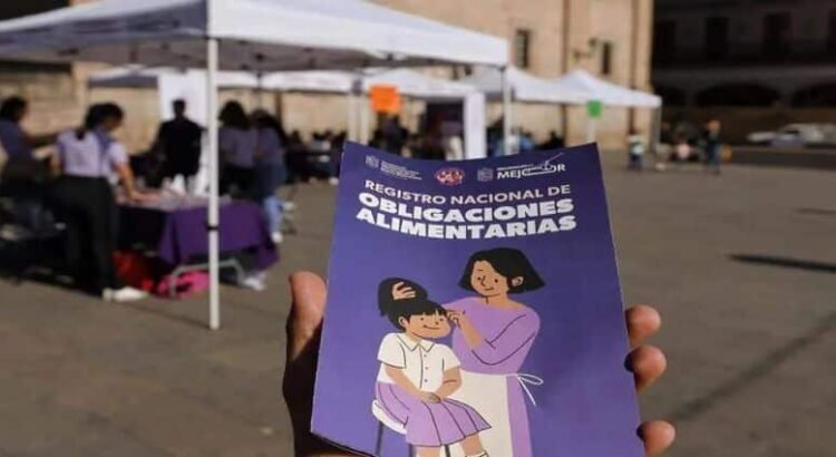 Registra Michoacán de 70 a 80 quejas diarias por pensión alimenticia