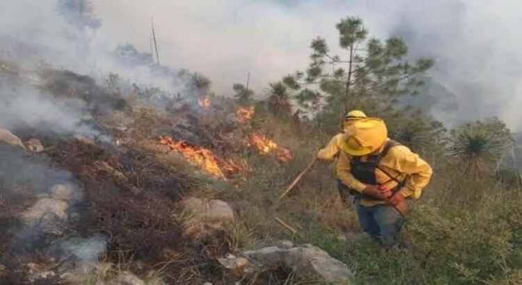 Con 12 siniestros, Michoacán es el segundo estado con más incendios forestales activos