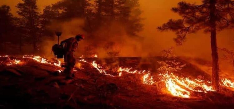 En Michoacán, reportan más de 300 incendios forestales en primeros meses de 2025