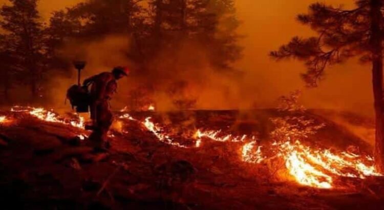 En Michoacán, reportan más de 300 incendios forestales en primeros meses de 2025
