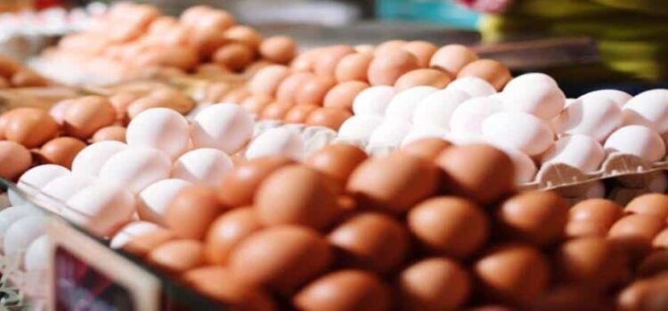 Michoacán mantuvo estable el precio del huevo pese a crisis en EU