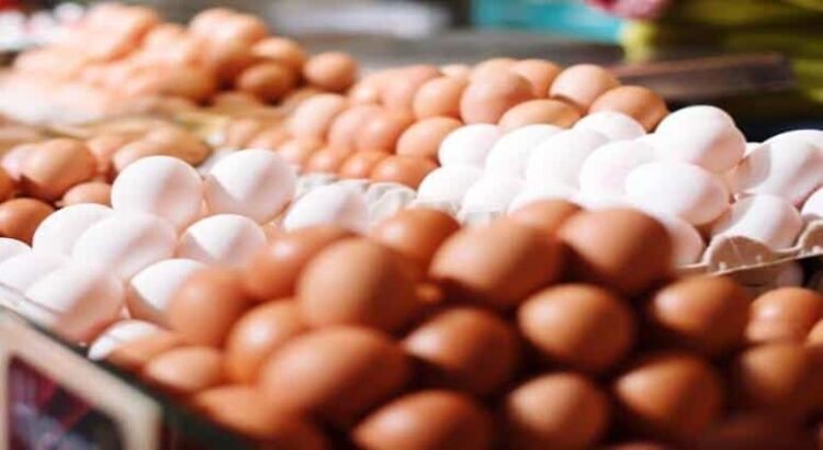 Michoacán mantuvo estable el precio del huevo pese a crisis en EU