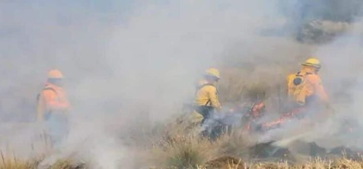 Apagan brigadas 14 incendios forestales en Michoacán Apagan brigadas 14 incendios forestales en Michoacán