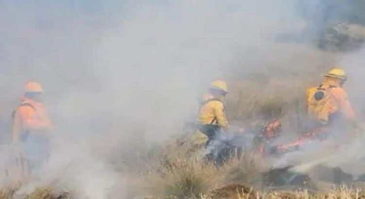 Apagan brigadas 14 incendios forestales en Michoacán