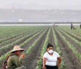 Inician campesinos huelga de 72 horas en California