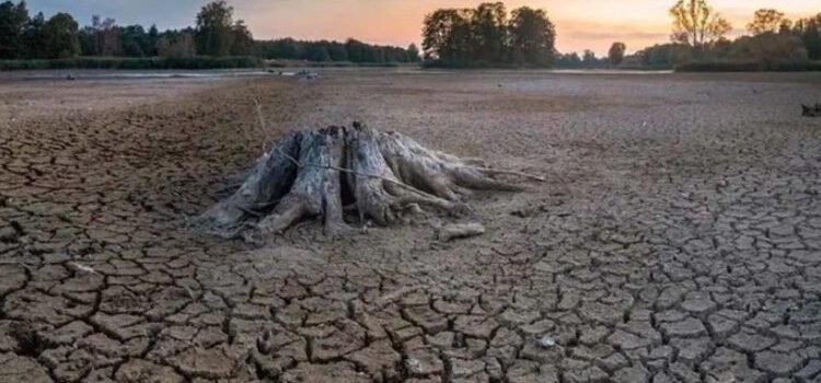 Entra el planeta en “quiebra hídrica” Entra el planeta en “quiebra hídrica”