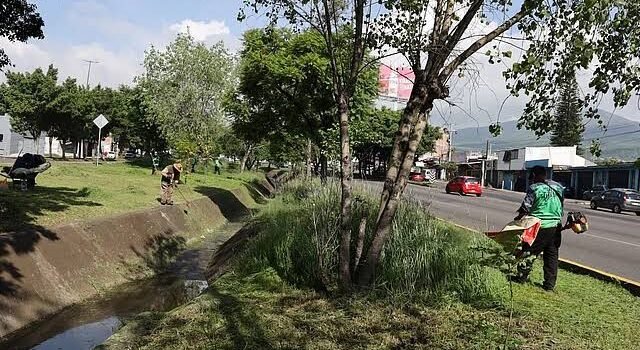 Brigadas municipales intervienen con limpieza y mantenimiento el libramiento de Morelia