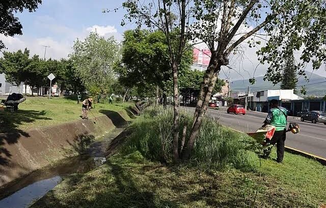 Brigadas municipales intervienen con limpieza y mantenimiento el libramiento de Morelia