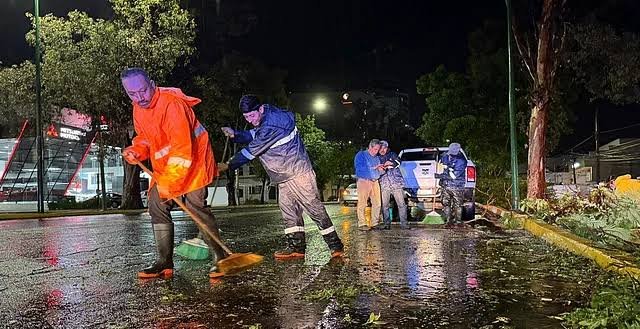 Lluvias fuertes causan caída de árbol y estructura metálica en Morelia