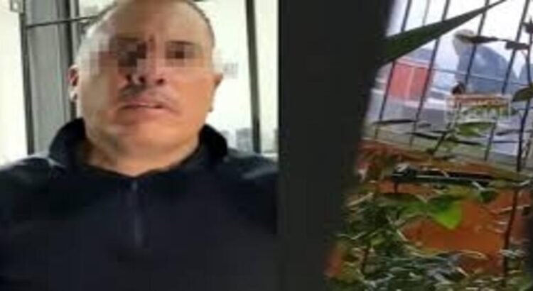 Fiscalía de Michoacán investiga a policía que golpeó a un perro parapléjico