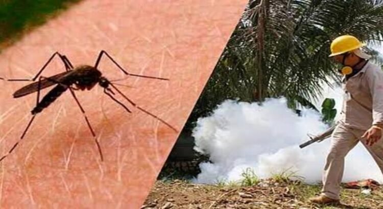 Michoacán registra 4 muertes por dengue