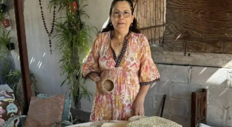 Crean en Sierra de la Giganta artesanías con matacora Crean en Sierra de la Giganta artesanías con matacora