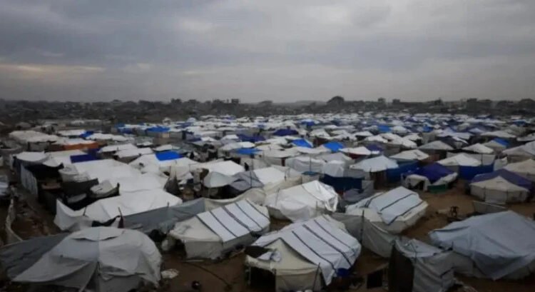 Prohíbe Israel el acceso de 14 ONG a Gaza