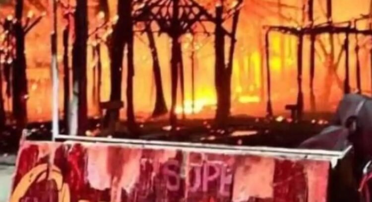 Destruye incendio más de 200 palapas en zona turística de Mahahual